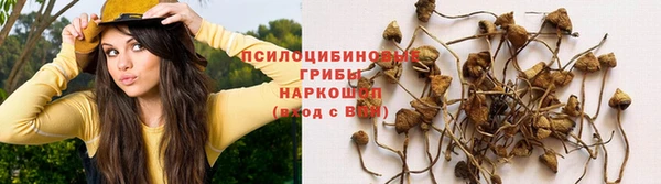 бошки Богородск