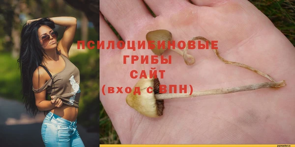 соль ск Богородицк