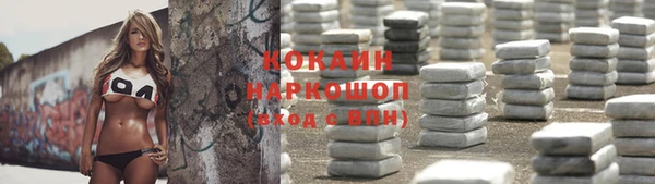 мдпв Бронницы