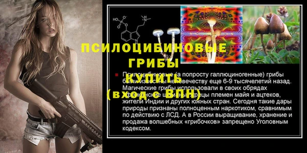 мдпв Бронницы