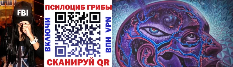 Галлюциногенные грибы мицелий  Бикин 
